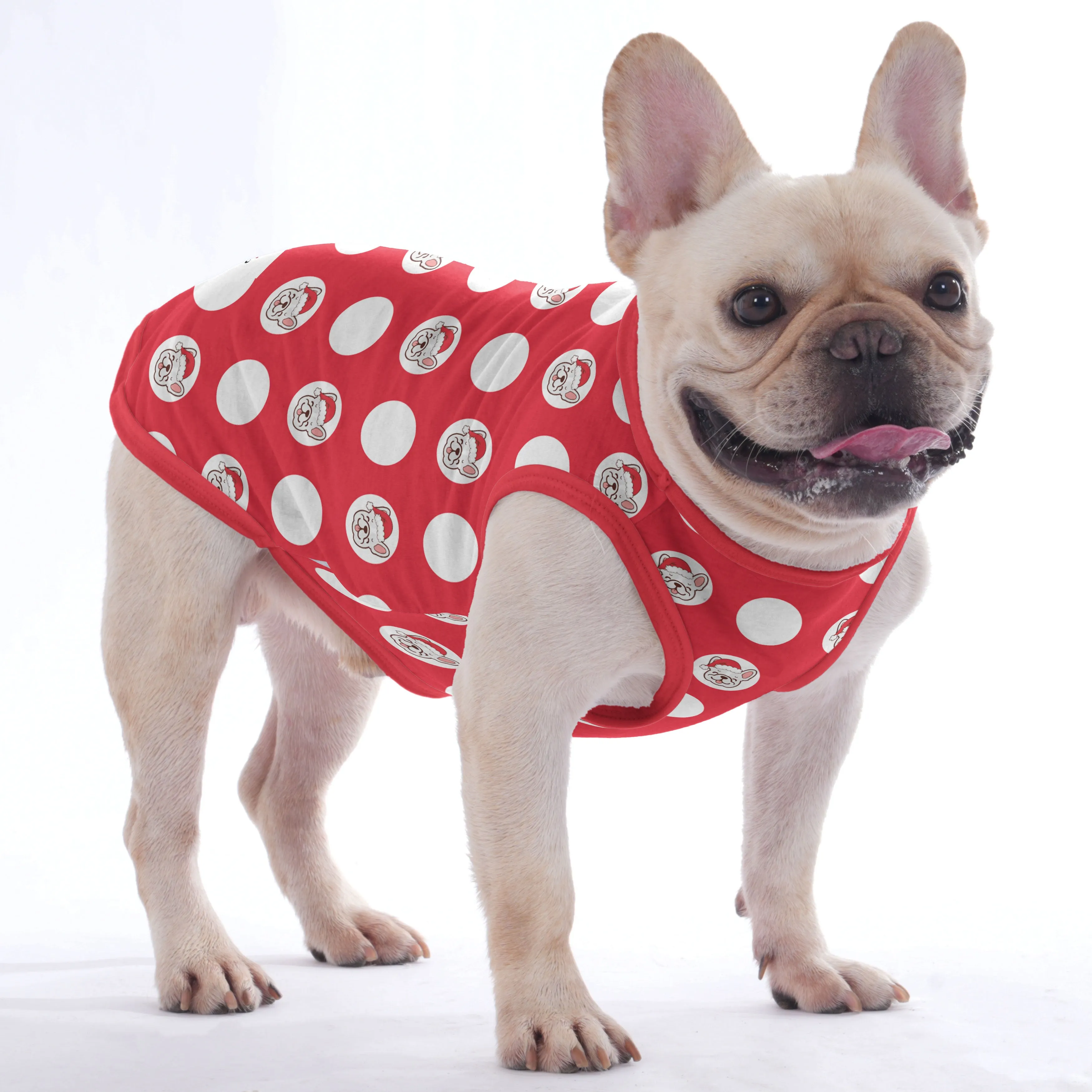 Papillon -  Shirt for Frenchies - Frenchie Shop Original