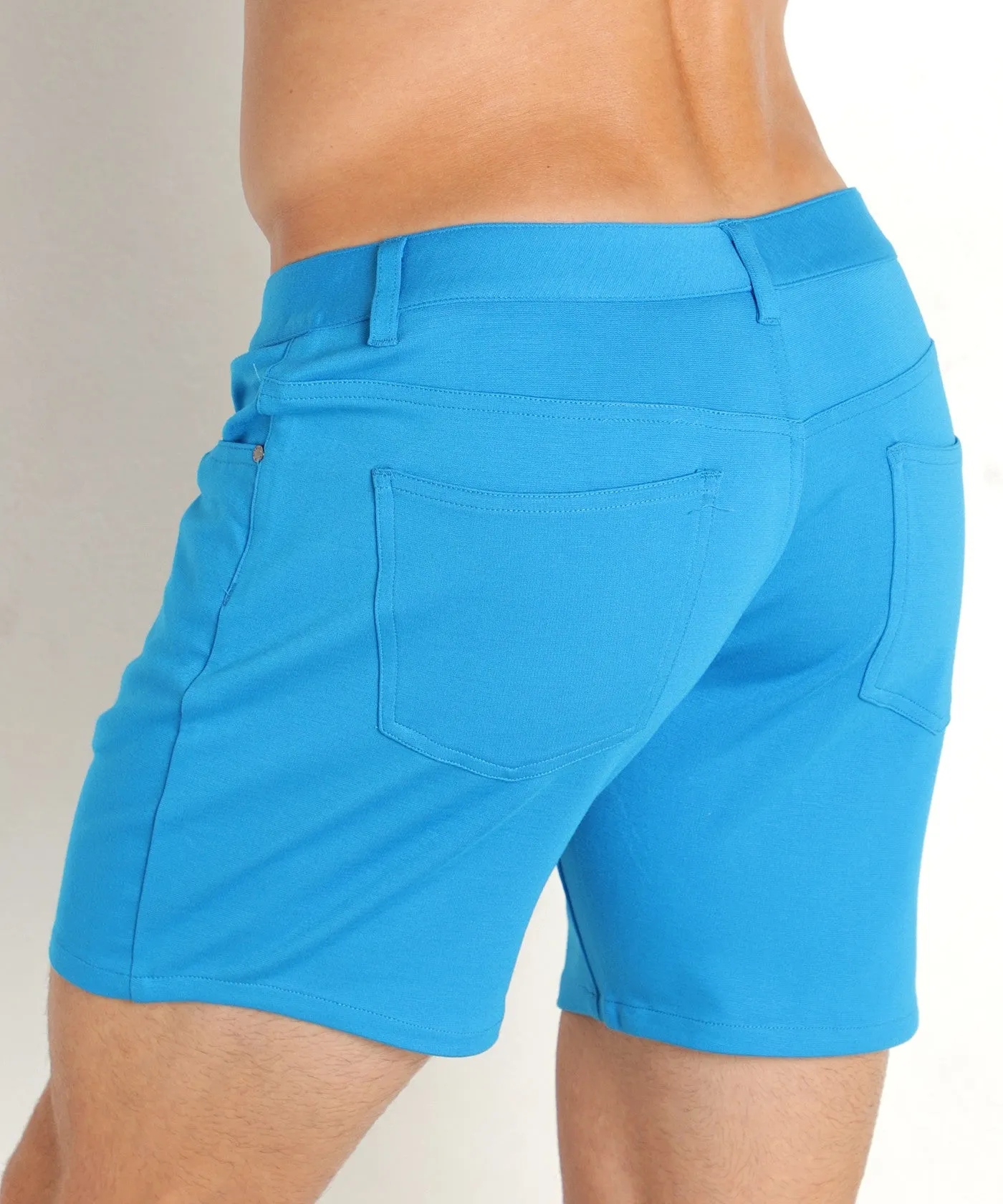 Stretch Knit Shorts (5 inseam) (Mosaic Blue)