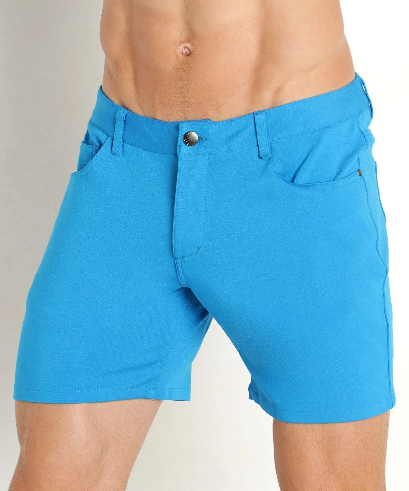 Stretch Knit Shorts (5 inseam) (Mosaic Blue)